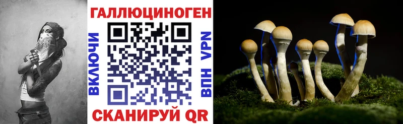Галлюциногенные грибы Psilocybe  Слободской 