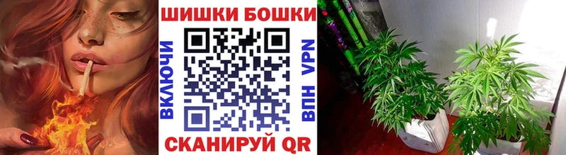 Конопля план  Слободской 